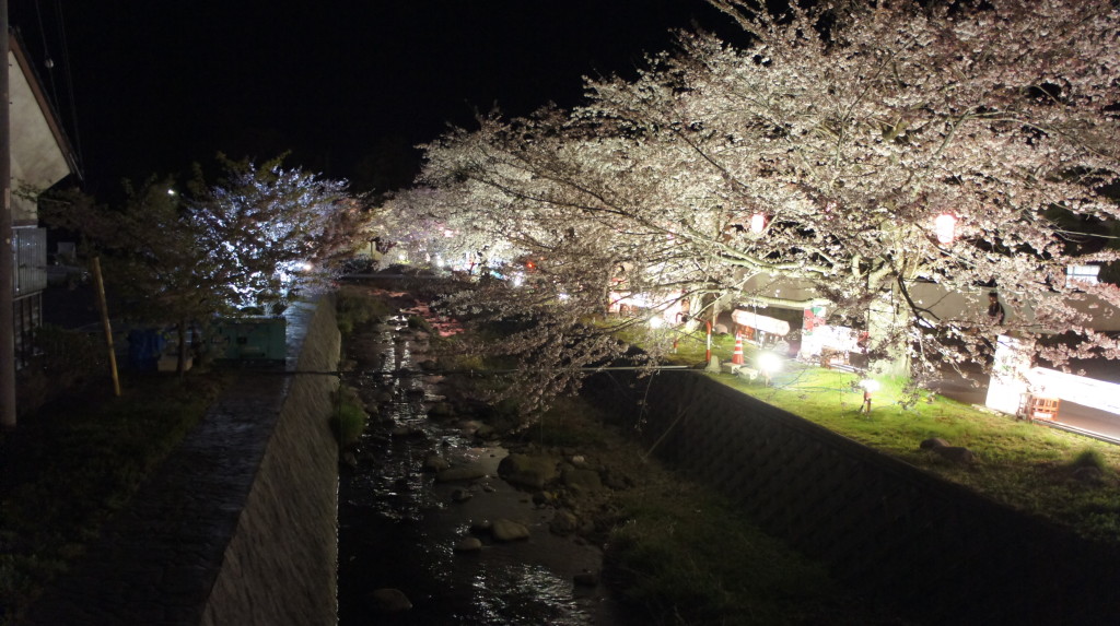 真野公園の桜ライトアップ