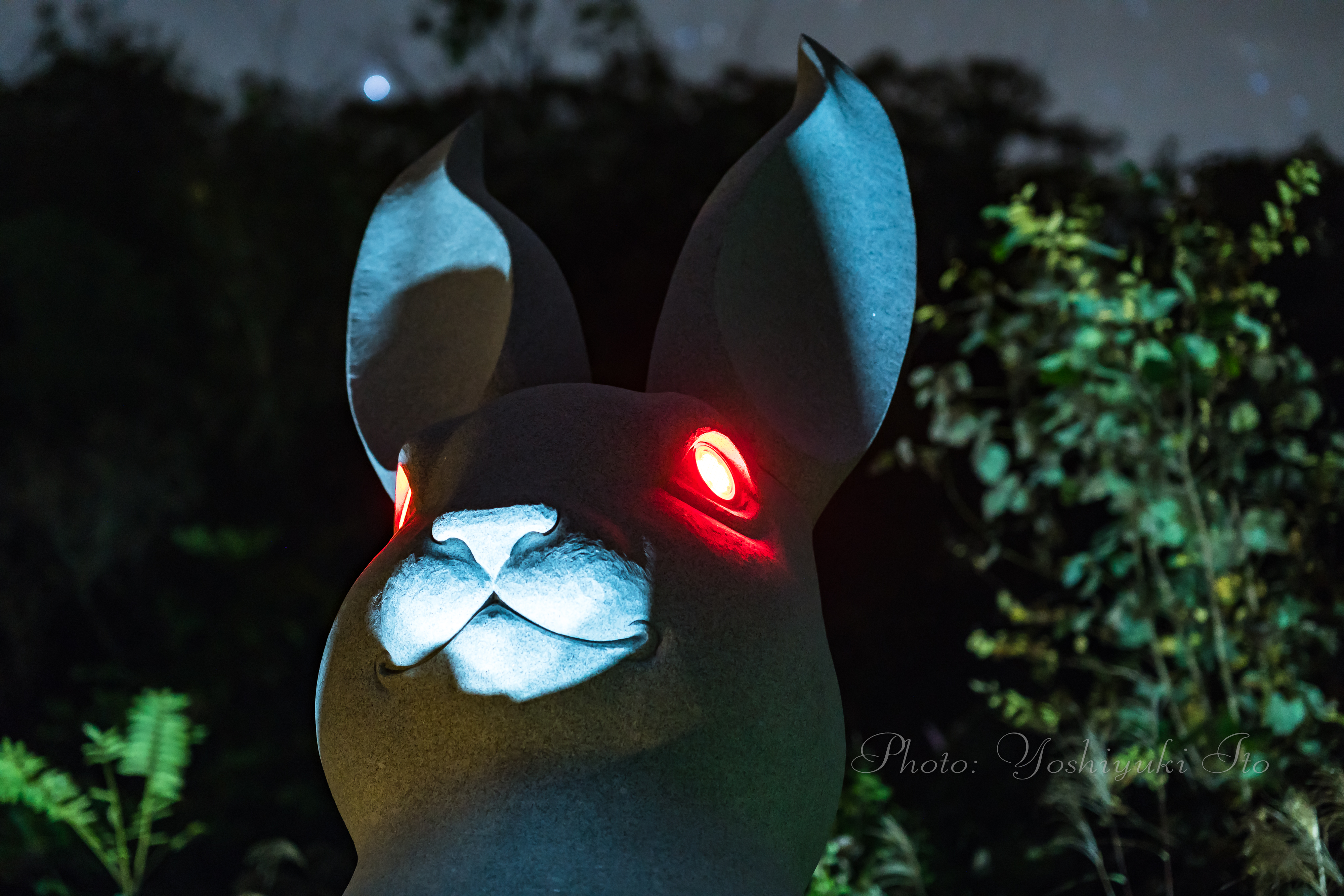 夜の新スポット長谷寺のウサギ観音の光る赤い目 旅館番頭の佐渡観光情報ブログ