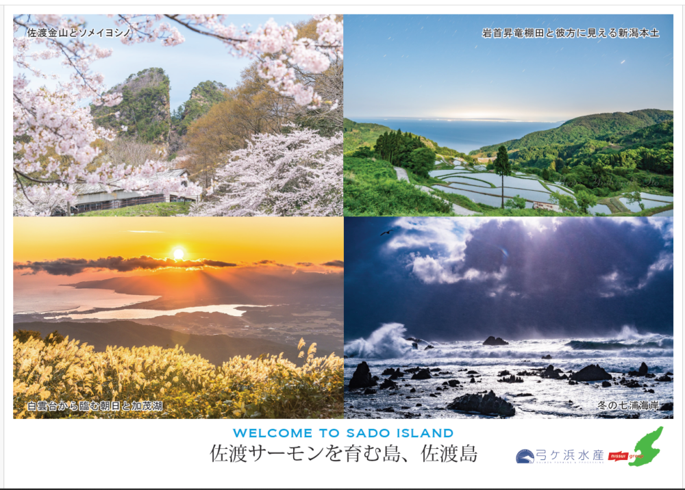 ASC認証を取得している佐渡の弓ヶ浜水産のふるさと納税の御礼状に写真を使っていただきました